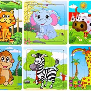 Wooden 9 Pcs Jigsaw Puzzle with Reference