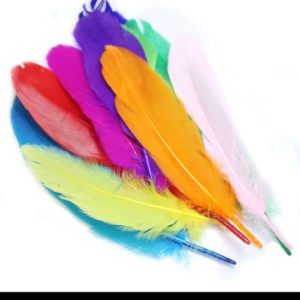 Feather Packet 35+ feathers