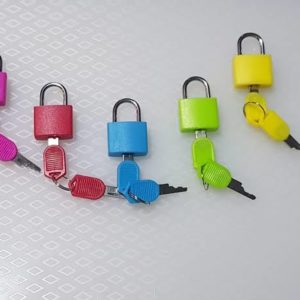 Montessori Colored Lock and Key